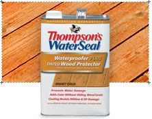 10800_20008042 Image Thompsons waterproofer plus tinted wood protector.jpg